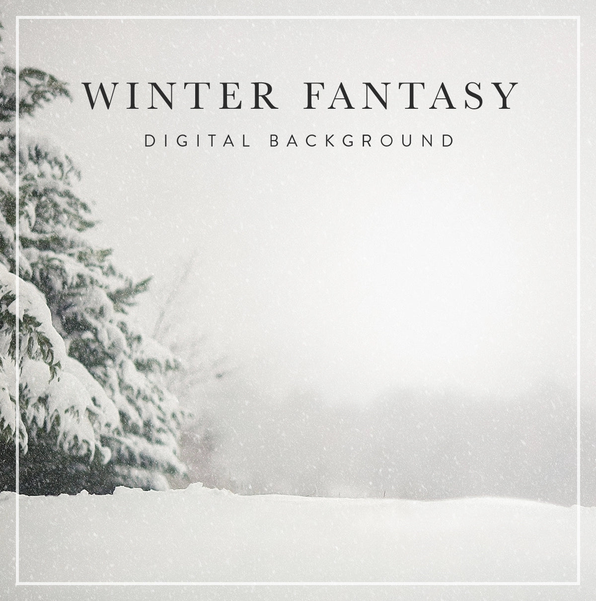 Winter Fantasy - Digital Background (Layered)