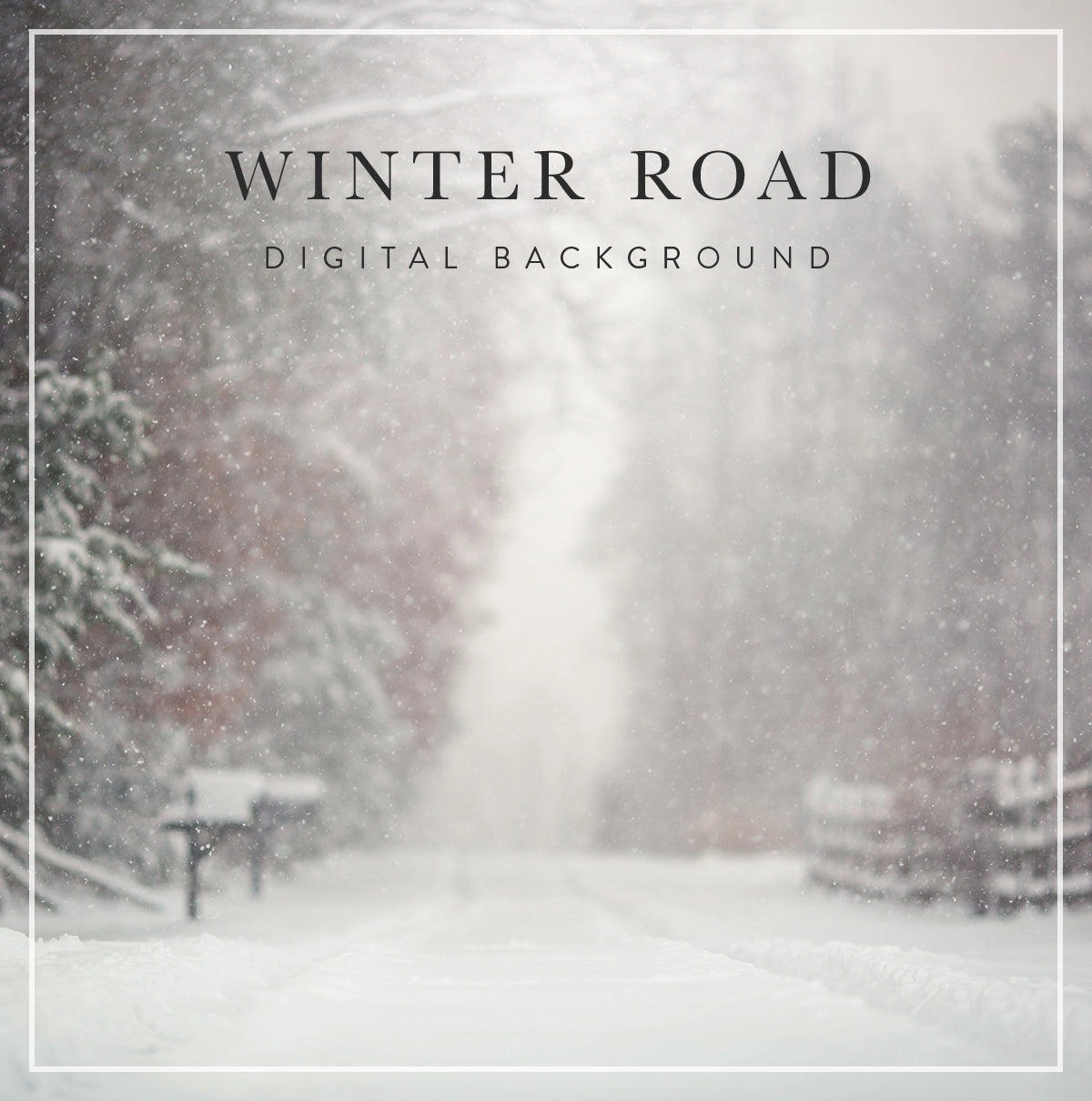 winter road digital background for photographers
