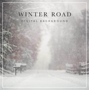 Winter Road - Digital Background (Layered)