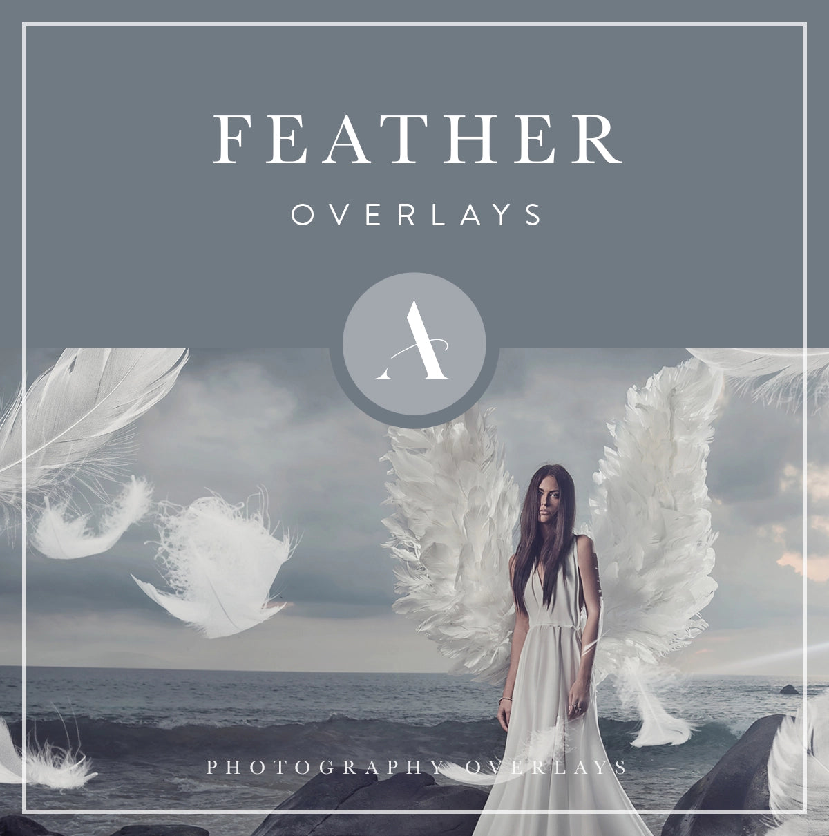 feather overlays for photoshop, photo editing, digital photography and photographers