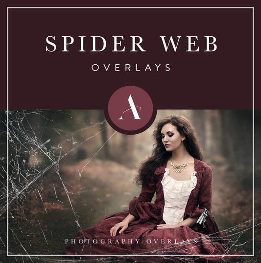 spider web overlays for photoshop, photo editing, digital photography and photographers