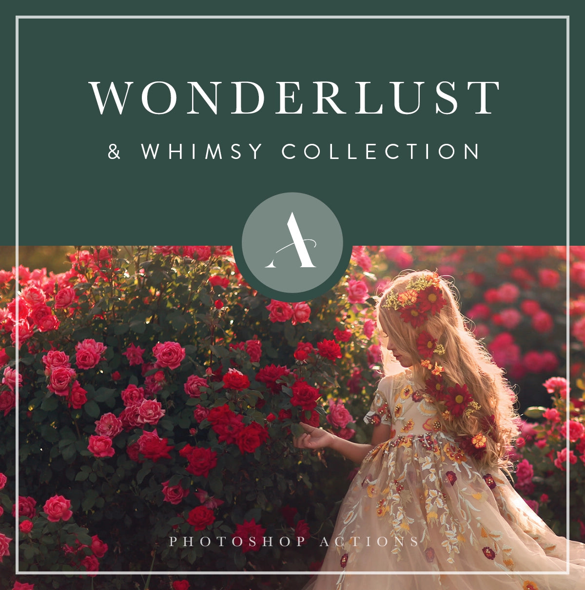 Wonderlust & Whimsy Collection